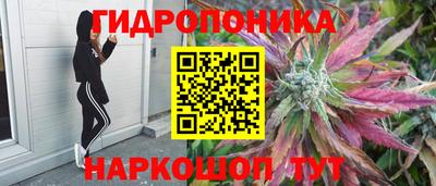 гидропоника Малгобек